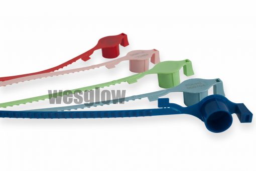 POLVAL : Wesglow Plastic Security Seal